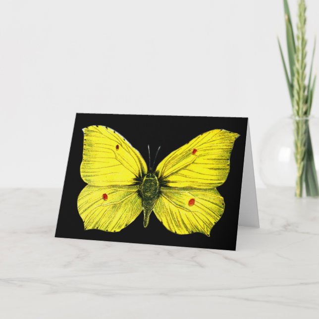 Tarjeta Zitronenfalter (Anverso)