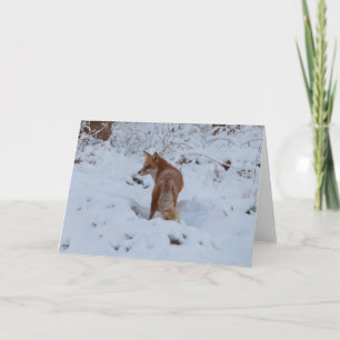 Tarjeta Zorro de Invierno