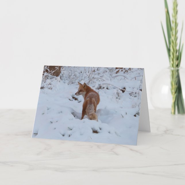 Tarjeta Zorro de Invierno (Anverso)