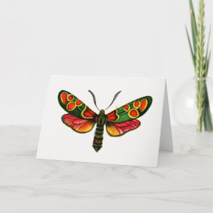 Tarjeta Zygaena carniolica - La malla de burnet crepuscula