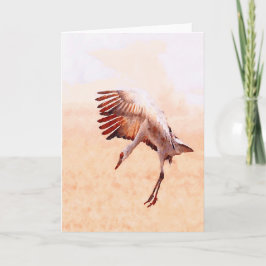 Tarjetas a solas de la grúa de Sandhill