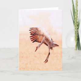 Tarjetas a solas de la grúa de Sandhill