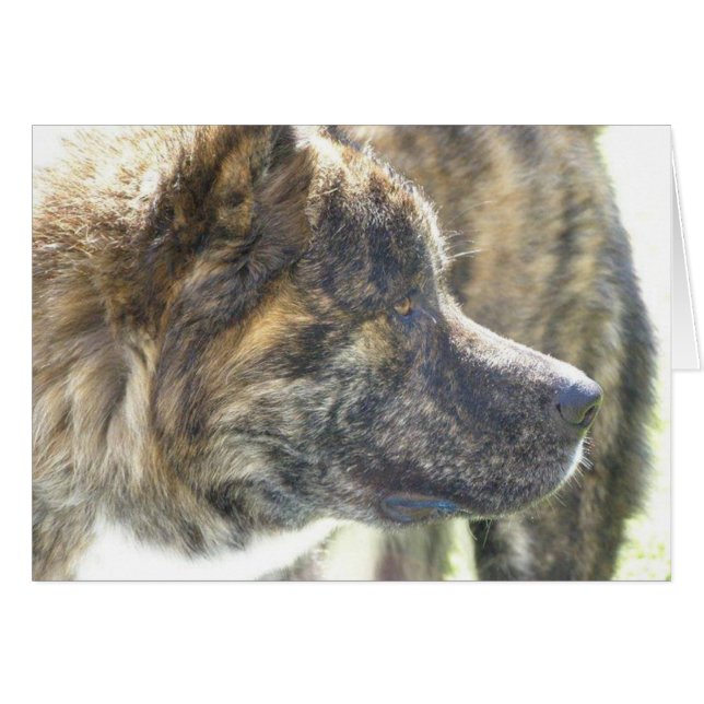 Tarjetas Akita (Anverso (Horizontal))