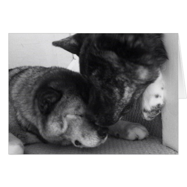 Tarjetas Akita (Anverso (Horizontal))