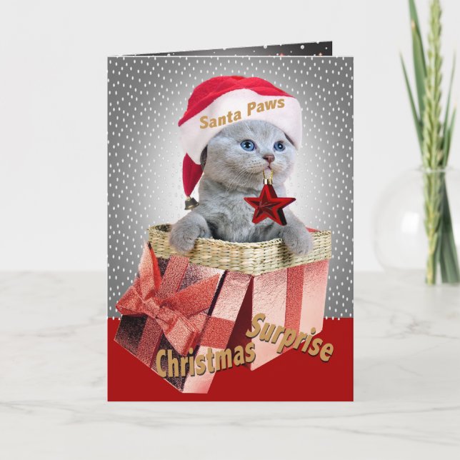 Tarjetas azules rusas de la sorpresa del navidad (Anverso)