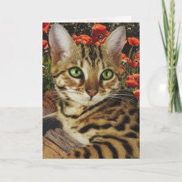 Tarjetas bengalíes y pegatinas