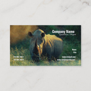 tarjetas blancas del perfil del safari del