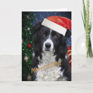 Tarjetas BORDE COLLIE MERRY CHRISTMAS