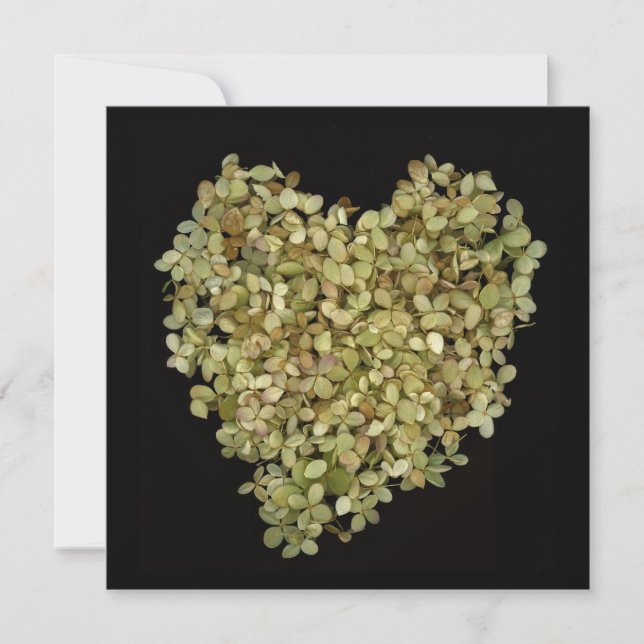 Tarjetas Botánicas Cuadradas Hydrangea Heart (Anverso)