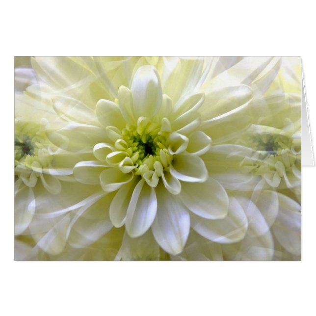 Tarjetas CHRYSANTHEMUM (Anverso (Horizontal))