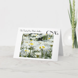 Tarjetas CNA Touch Healing Cuidando tarjetas de fe