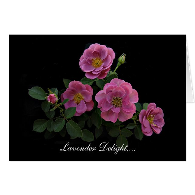 Tarjetas color de rosa de Stan el Roseman (Anverso (Horizontal))