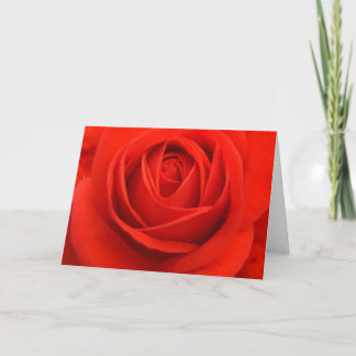 Tarjetas color de rosa, rojas