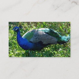 Tarjetas comerciales Peacock