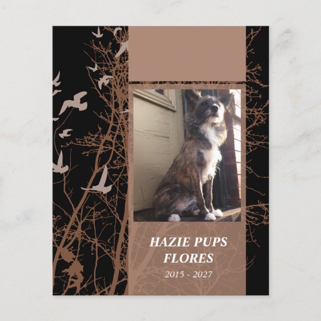 tarjetas conmemorativas aves de silueta (Anverso)