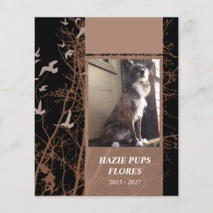 tarjetas conmemorativas aves de silueta