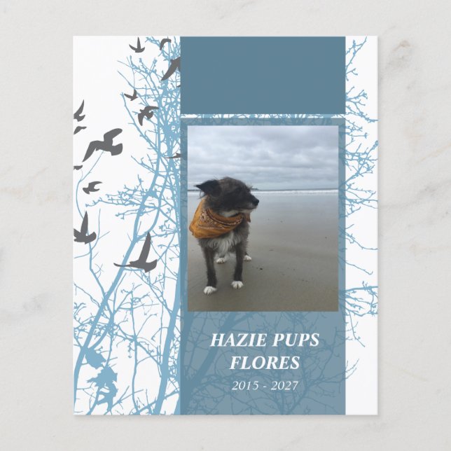 tarjetas conmemorativas aves de silueta (Anverso)