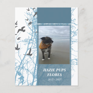 tarjetas conmemorativas aves de silueta