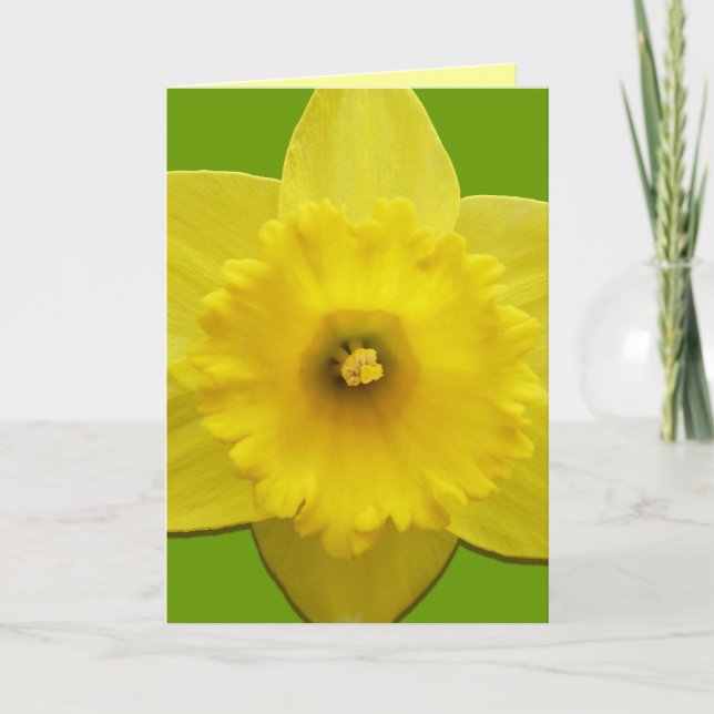Tarjetas Daffodil Tarjetas Flower Flower Personali (Anverso)