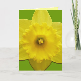 Tarjetas Daffodil Tarjetas Flower Flower Personali