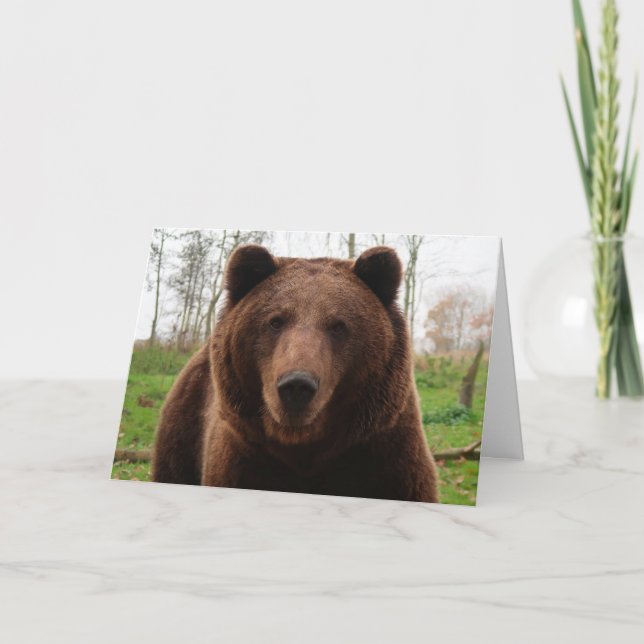 TARJETAS DE ABRAZO DE OSO GRIZZLY FELIZ CUMPLEAÑOS (Anverso)