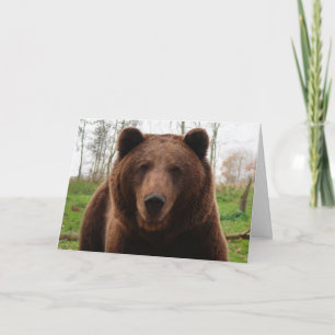 TARJETAS DE ABRAZO DE OSO GRIZZLY FELIZ CUMPLEAÑOS