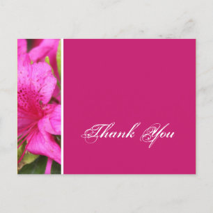 Tarjetas de agradecimiento con flores de azalea ro