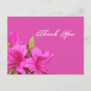 Tarjetas de agradecimiento con flores de azalea ro