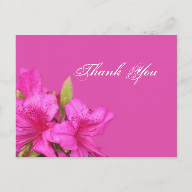 Tarjetas de agradecimiento con flores de azalea ro (Anverso)