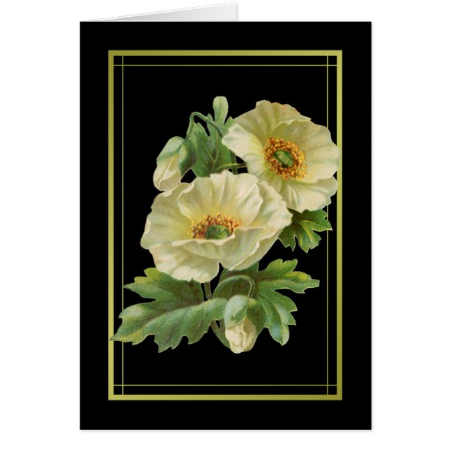 Tarjetas de agradecimiento de amapolas blancas (Frente)