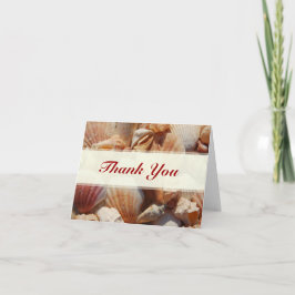 Tarjetas de agradecimiento de conchas marinas para