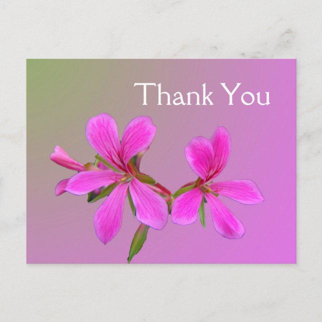 Tarjetas de agradecimiento de flores de jardín ros (Anverso)