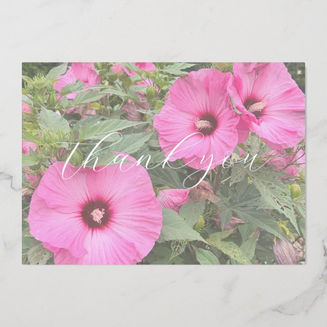 Tarjetas de agradecimiento de Hortensia Rosa (Anverso)