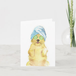Tarjetas de agradecimiento de Morkie Poo con acuar