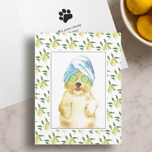 Tarjetas de agradecimiento de Morkie Poo con acuar