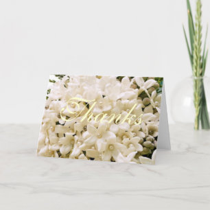 Tarjetas de agradecimiento floral de Stephanotis b