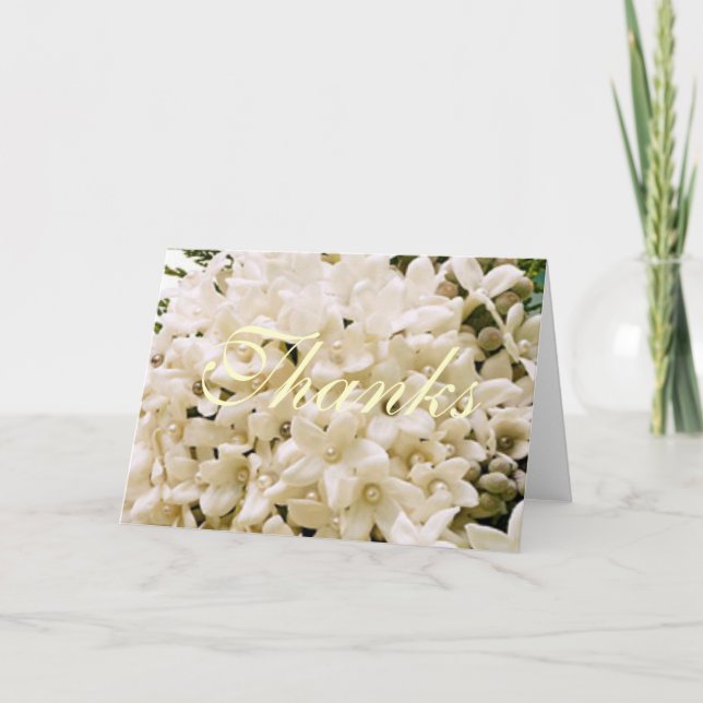 Tarjetas de agradecimiento floral de Stephanotis b (Anverso)