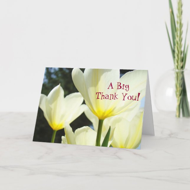 Tarjetas de agradecimiento grandes! Flores de tuli (Anverso)