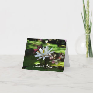 Tarjetas de agradecimiento - Water Lily on Pond