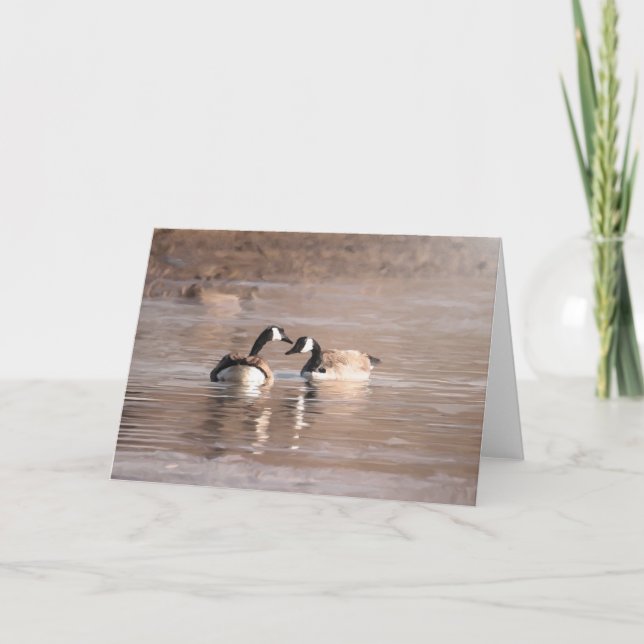 Tarjetas de "amor" de vida salvaje y al aire libre (Anverso)