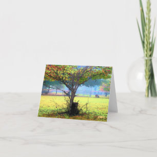 Tarjetas de apunte de arte Runamuk Ranch (en blanc