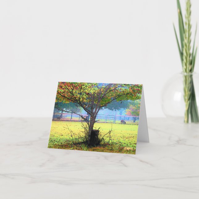 Tarjetas de apunte de arte Runamuk Ranch (en blanc (Anverso)