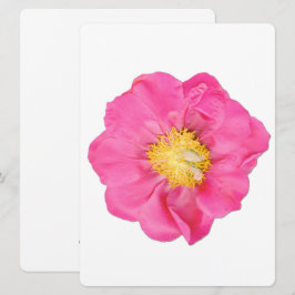 Tarjetas de Arte Botánico de Flor de Peonía de Col