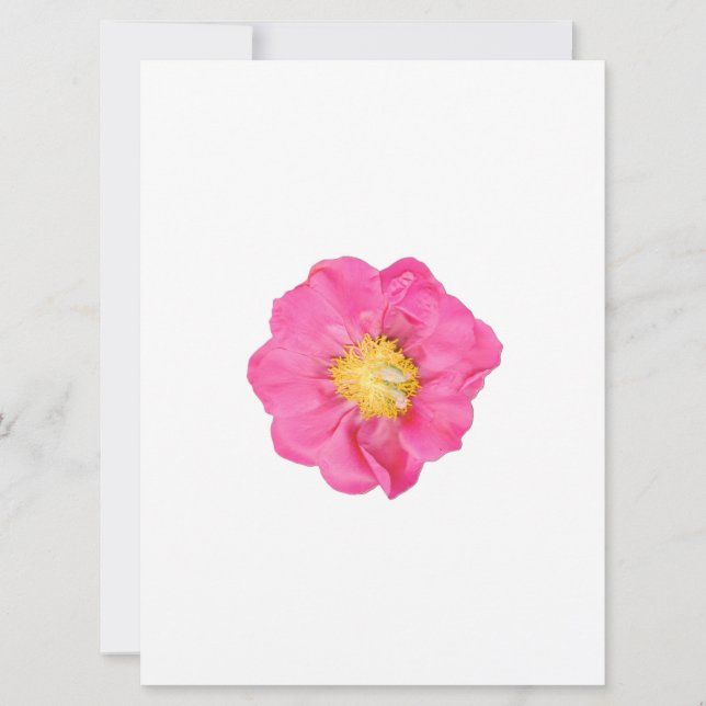 Tarjetas de Arte Botánico de Flor de Peonía de Ros (Anverso)