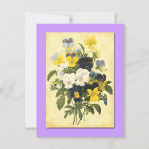 Tarjetas de arte botánico Pansy Violets Blank