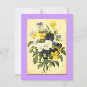Tarjetas de arte botánico Pansy Violets Blank