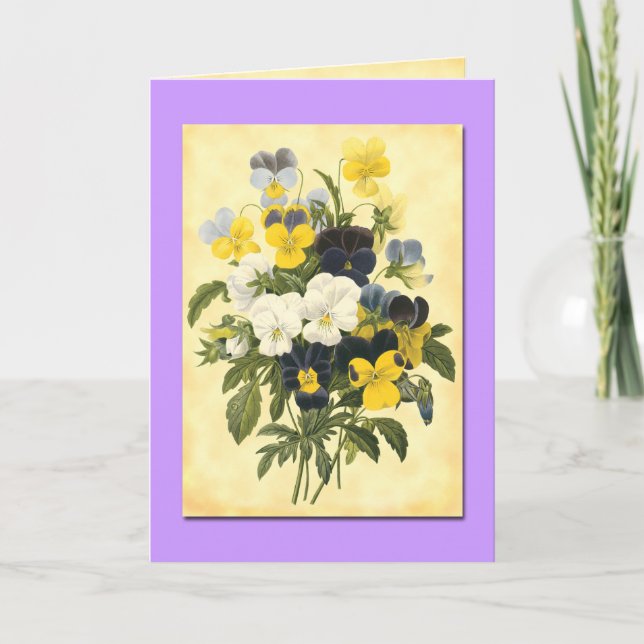 Tarjetas de arte botánico Pansy Violets Blank (Anverso)