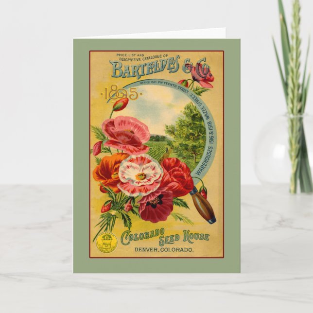 Tarjetas de arte de la Compañía de Semillas de Bar (Anverso)