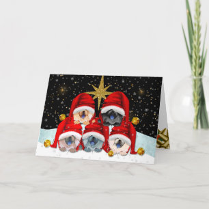 Tarjetas de arte PEACE ON EARTH Chow