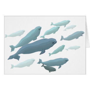 Tarjetas de ballena Tarjetas de arte de ballena Be